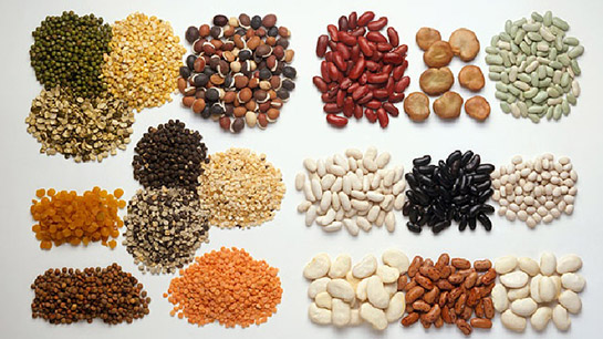 Bitkisel Protein Kullanımı ve Faydaları Nelerdir?