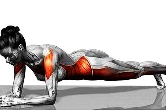 Fazla Proteinin Zararları?